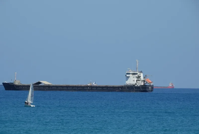 GOLDEN LION General Cargo IMO 9363974 photo 5