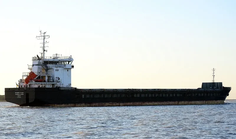 GOLDEN LION General Cargo IMO 9363974 photo 7