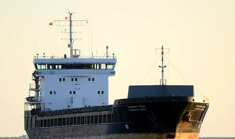 GOLDEN LION General Cargo IMO 9363974 photo 10