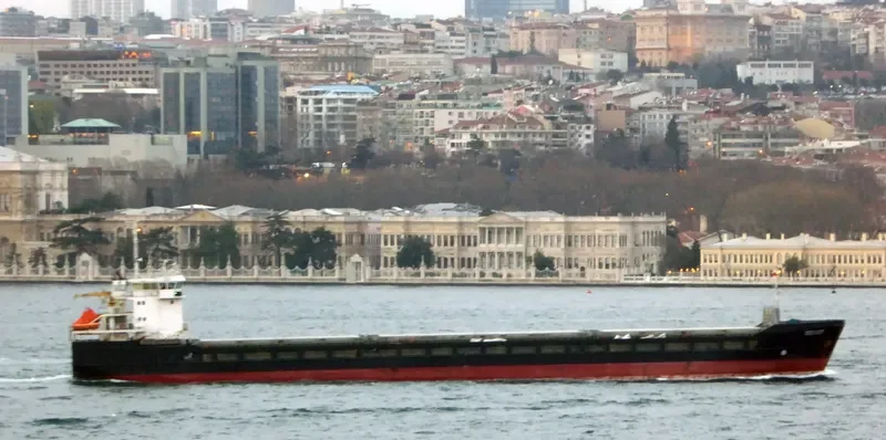 KAREWOOD STAR General Cargo IMO 9363986 photo 3