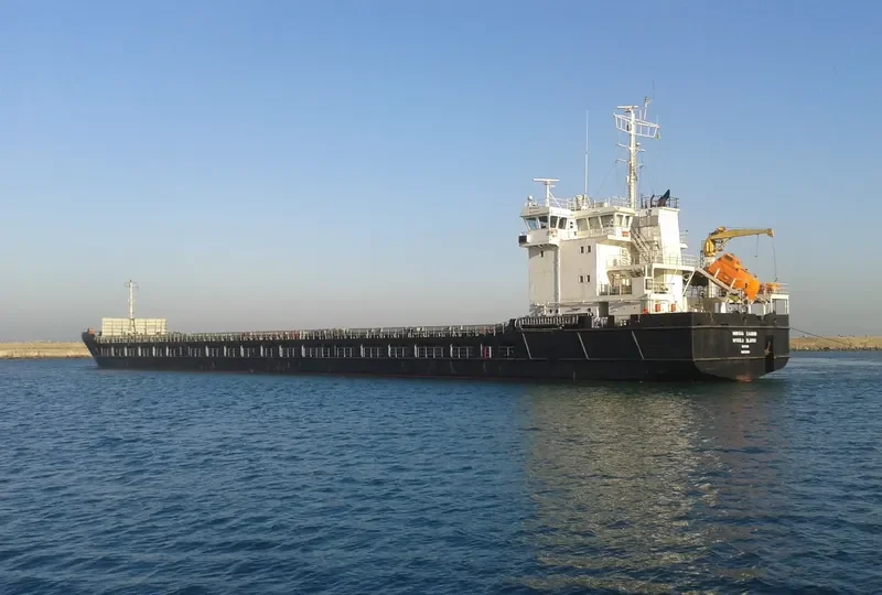 KAREWOOD STAR General Cargo IMO 9363986 photo 6