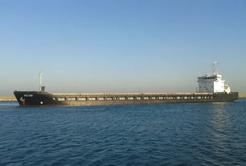 KAREWOOD STAR General Cargo IMO 9363986 photo 7