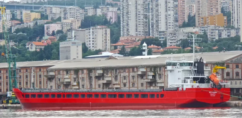 SEA LEADER General Cargo IMO 9363998 photo 2