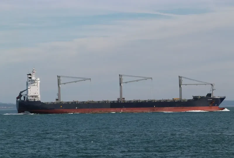AS PATRICIA Container Ship IMO 9364203 photo 2