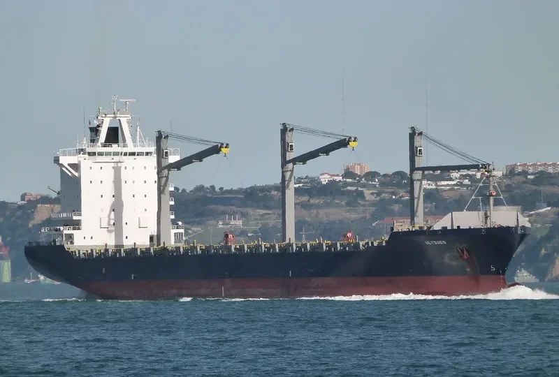 AS PATRICIA Container Ship IMO 9364203 photo 3