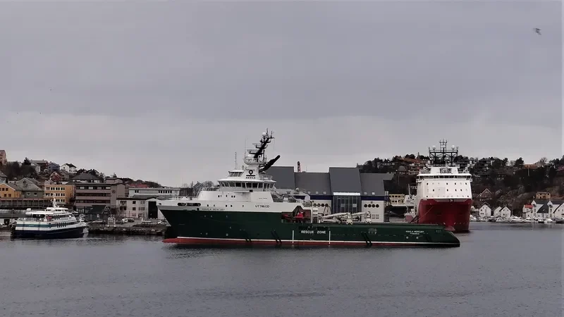 HAVILA MERCURY Offshore Vessel IMO 9364265 photo 4