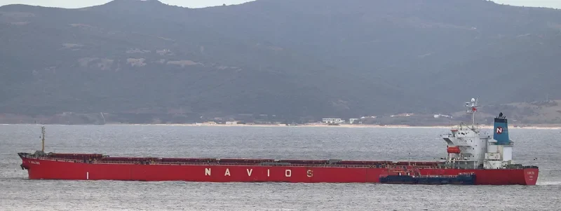 N AMALTHIA Bulk Carrier IMO 9364277