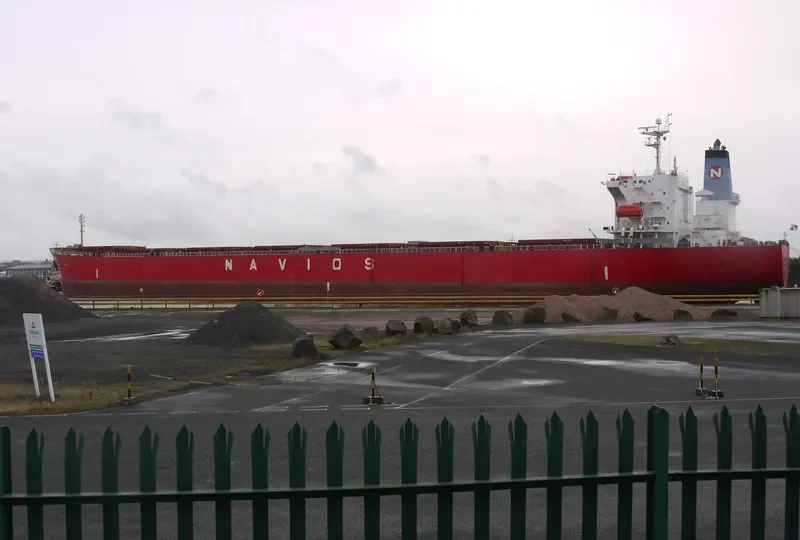 N AMALTHIA Bulk Carrier IMO 9364277 photo 2