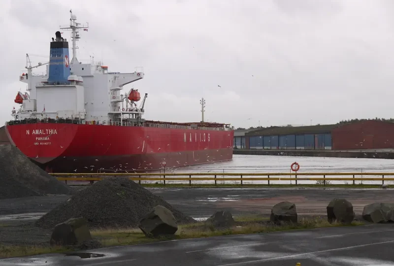 N AMALTHIA Bulk Carrier IMO 9364277 photo 3