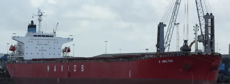 N AMALTHIA Bulk Carrier IMO 9364277 photo 4