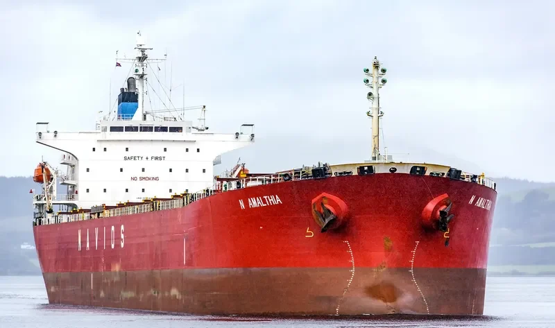 N AMALTHIA Bulk Carrier IMO 9364277 photo 5
