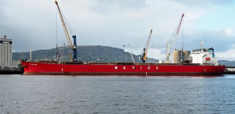 N AMALTHIA Bulk Carrier IMO 9364277 photo 8