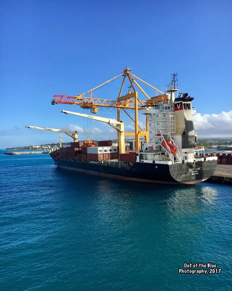 VEGA LUNA General Cargo IMO 9364356 photo 2