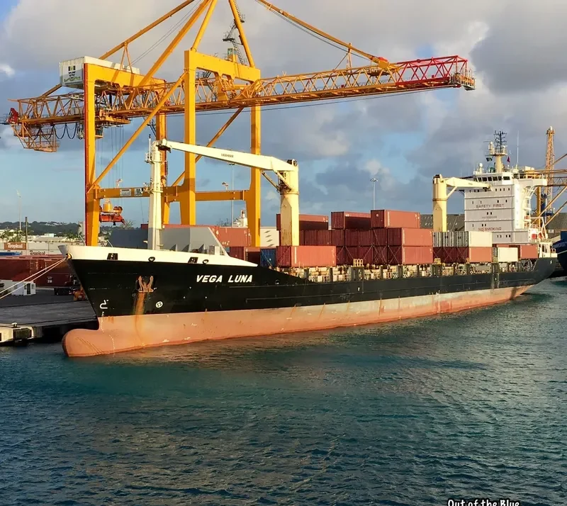 VEGA LUNA General Cargo IMO 9364356 photo 3