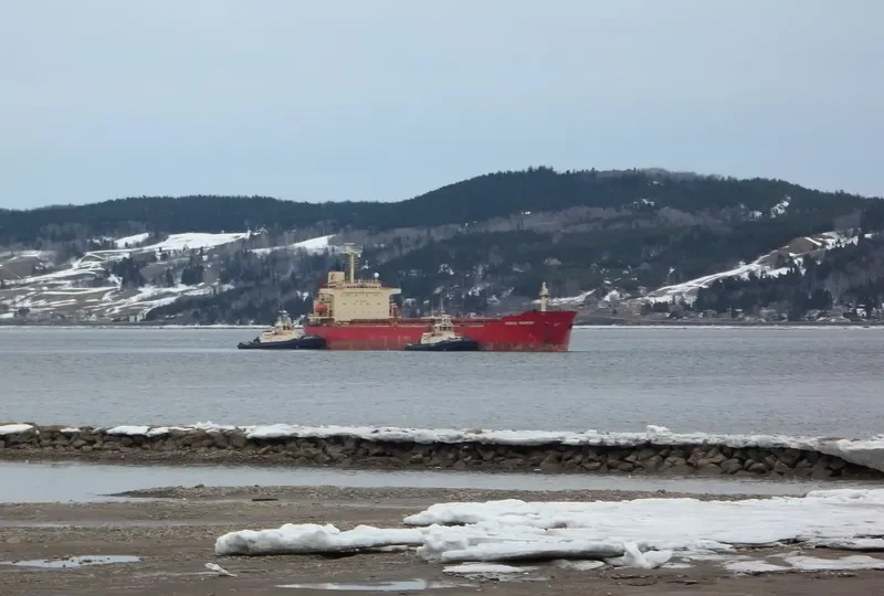 FJORD ETERNITE General Cargo IMO 9364368 photo 7