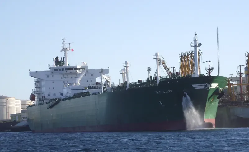 IRIS GLORY General Cargo IMO 9364382 photo 2