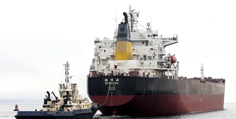 DE MING HAI Bulk Carrier IMO 9364746 photo 3