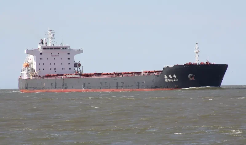 DE MING HAI Bulk Carrier IMO 9364746 photo 5
