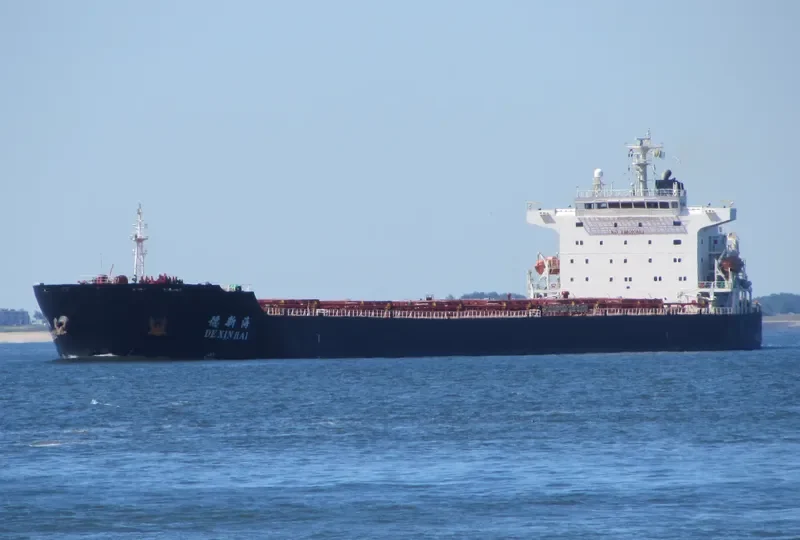 DE XIN HAI Bulk Carrier IMO 9364758 photo 10