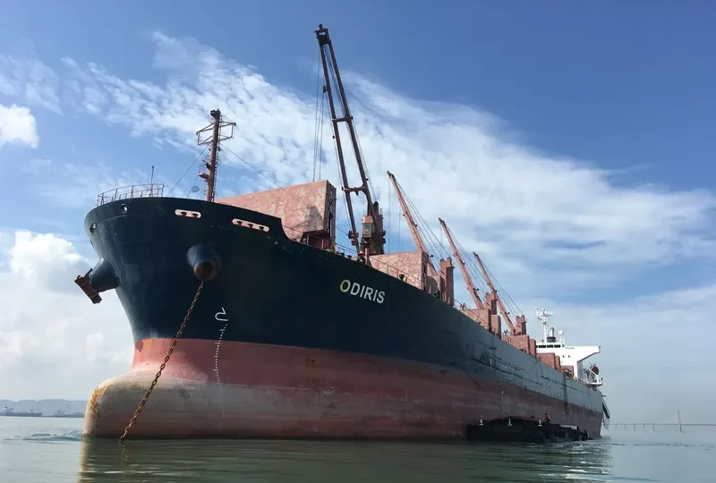 CAPTAIN D LEMPESIS Bulk Carrier IMO 9364801
