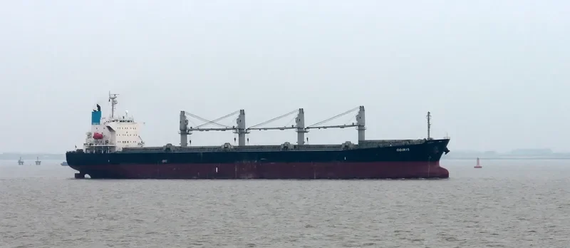 CAPTAIN D LEMPESIS Bulk Carrier IMO 9364801 photo 2