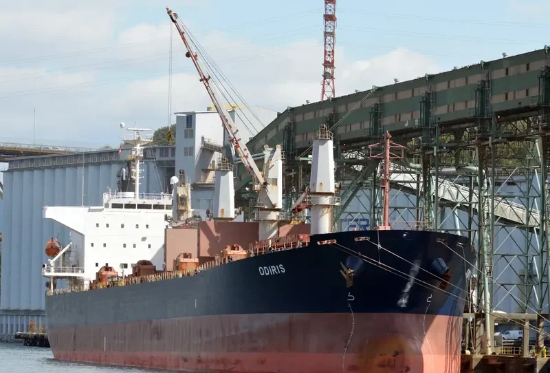 CAPTAIN D LEMPESIS Bulk Carrier IMO 9364801 photo 9