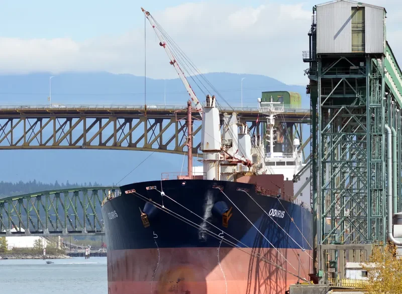 CAPTAIN D LEMPESIS Bulk Carrier IMO 9364801 photo 10