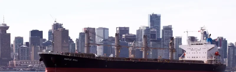 MING XING HAI Bulk Carrier IMO 9364813 photo 4