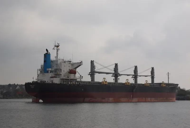 MING XING HAI Bulk Carrier IMO 9364813 photo 5