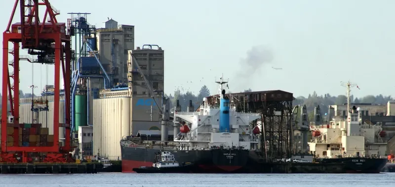 MING XING HAI Bulk Carrier IMO 9364813 photo 9