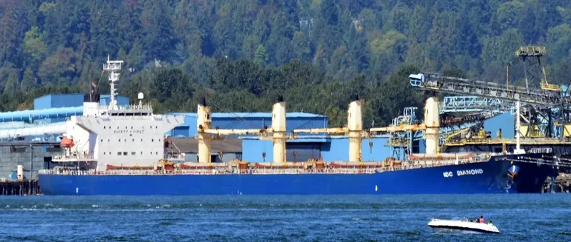 IDC DIAMOND Bulk Carrier IMO 9364825