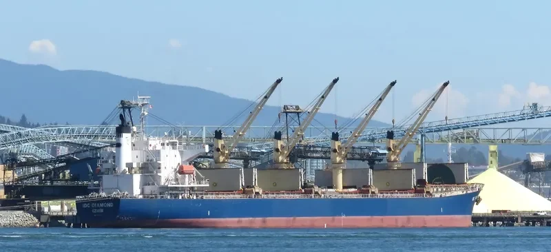 IDC DIAMOND Bulk Carrier IMO 9364825 photo 2