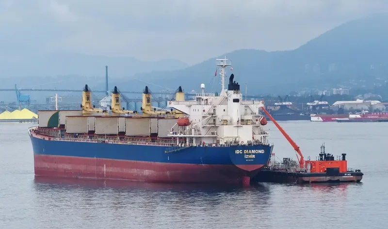 IDC DIAMOND Bulk Carrier IMO 9364825 photo 3