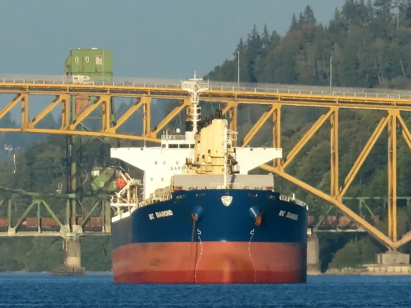 IDC DIAMOND Bulk Carrier IMO 9364825 photo 4