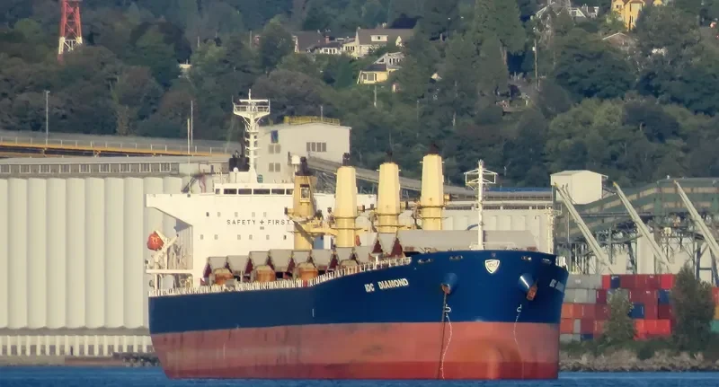 IDC DIAMOND Bulk Carrier IMO 9364825 photo 5