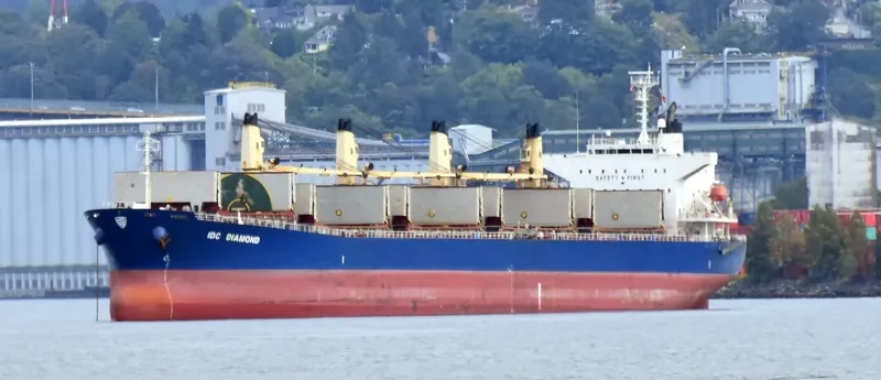 IDC DIAMOND Bulk Carrier IMO 9364825 photo 6