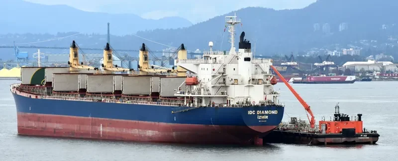 IDC DIAMOND Bulk Carrier IMO 9364825 photo 7