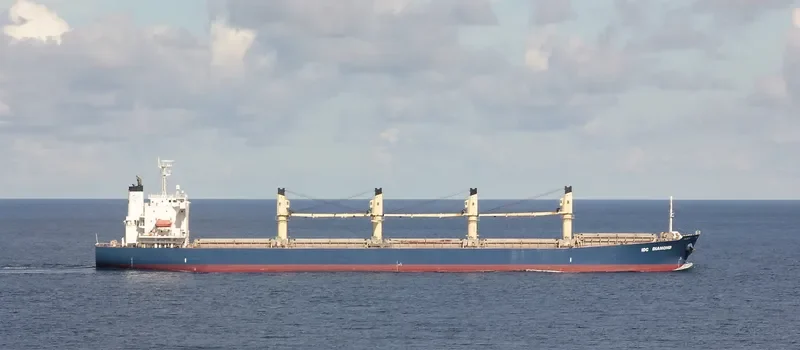 IDC DIAMOND Bulk Carrier IMO 9364825 photo 8