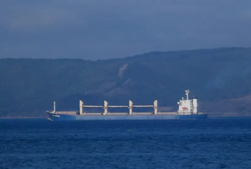 IDC DIAMOND Bulk Carrier IMO 9364825 photo 9