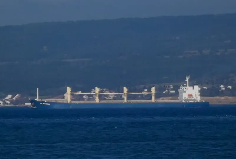 IDC DIAMOND Bulk Carrier IMO 9364825 photo 10