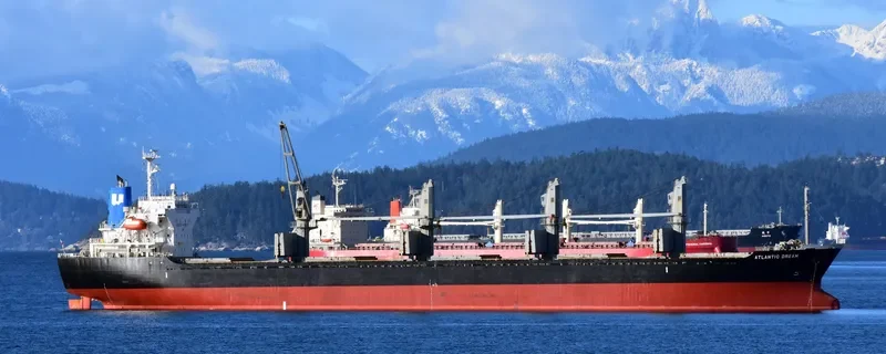 CANOPUS Bulk Carrier IMO 9364837 photo 3