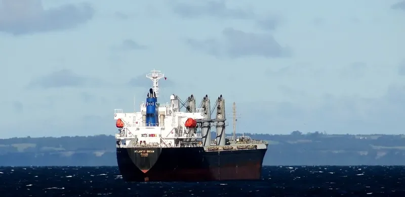 CANOPUS Bulk Carrier IMO 9364837 photo 8