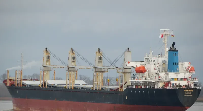 ANEMOS Bulk Carrier IMO 9364849 photo 4