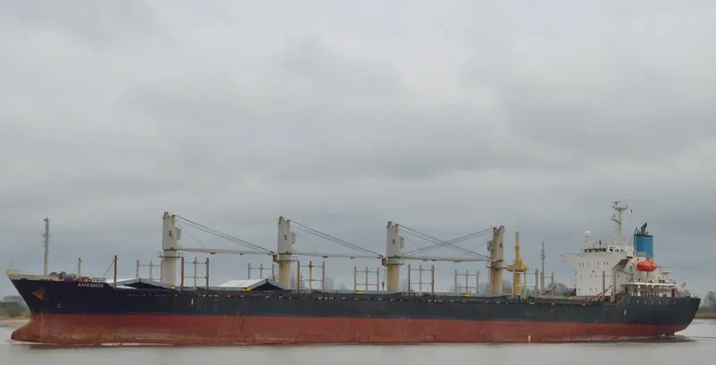 ANEMOS Bulk Carrier IMO 9364849 photo 5