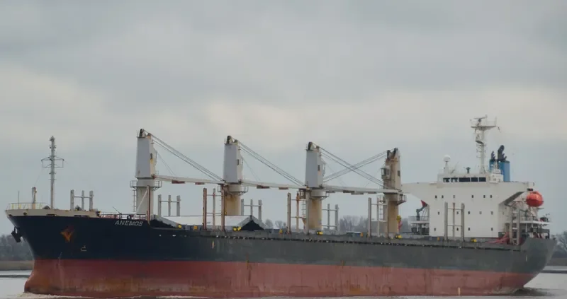 ANEMOS Bulk Carrier IMO 9364849 photo 6