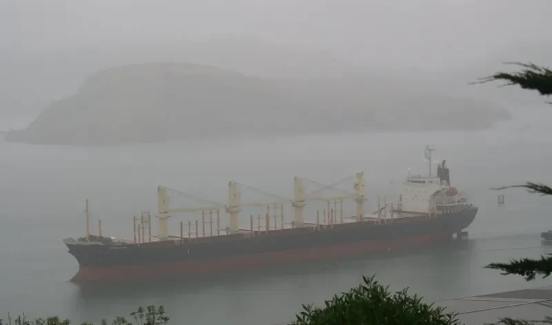 LIBERATOR Bulk Carrier IMO 9364851 photo 2