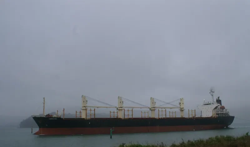 LIBERATOR Bulk Carrier IMO 9364851 photo 3