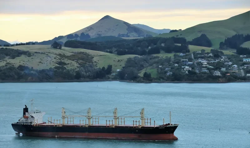 LIBERATOR Bulk Carrier IMO 9364851 photo 4