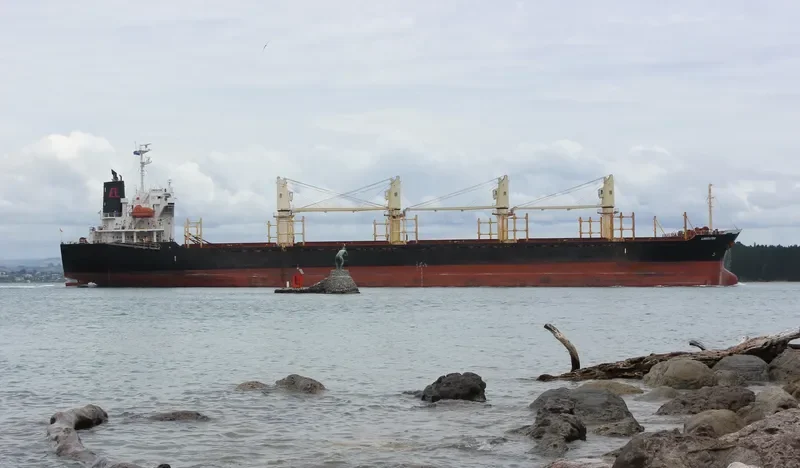 LIBERATOR Bulk Carrier IMO 9364851 photo 5