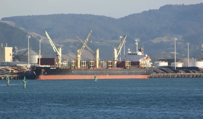 LIBERATOR Bulk Carrier IMO 9364851 photo 8